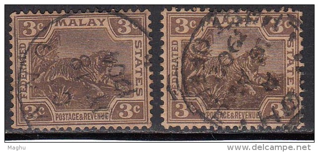 Federated Malay States Used 1900, 3c X 2 Diff., Shades, Wmk Crown CA, Tiger, Malaysia, Malaya - Federated Malay States