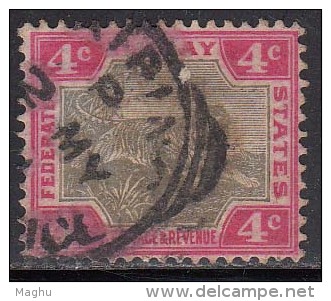Federated Malay States Used 1900, 4c  Wmk Crown CA, Tiger, Malaysia, Malaya - Federated Malay States