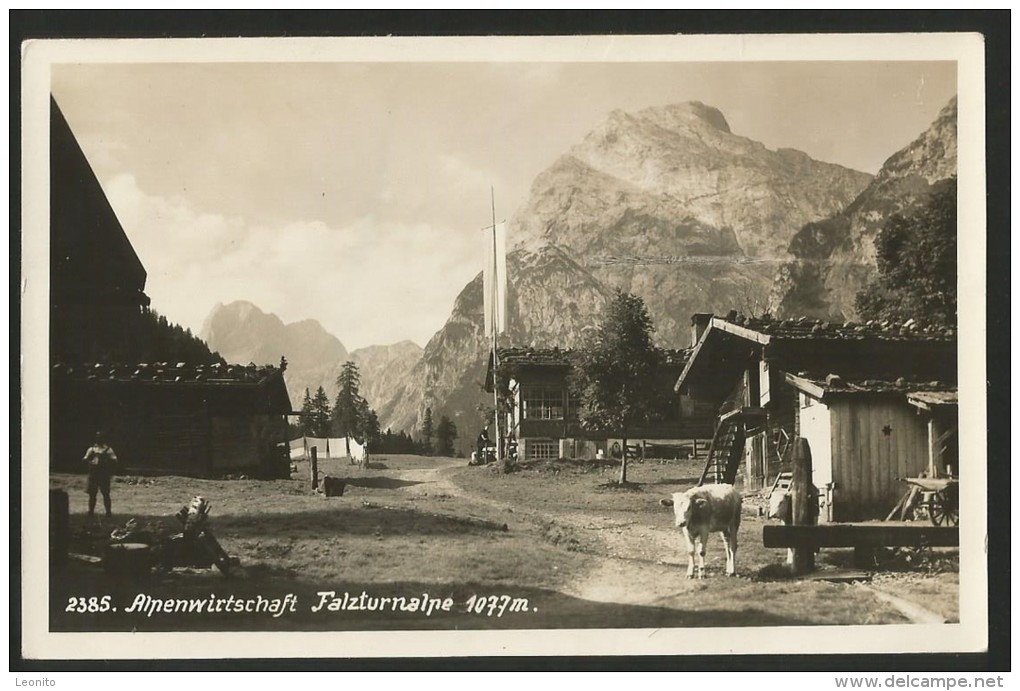 FALZTURNALPE Alpenwirtschaft Bei Pertisau Tirol Ca. 1925 - Pertisau