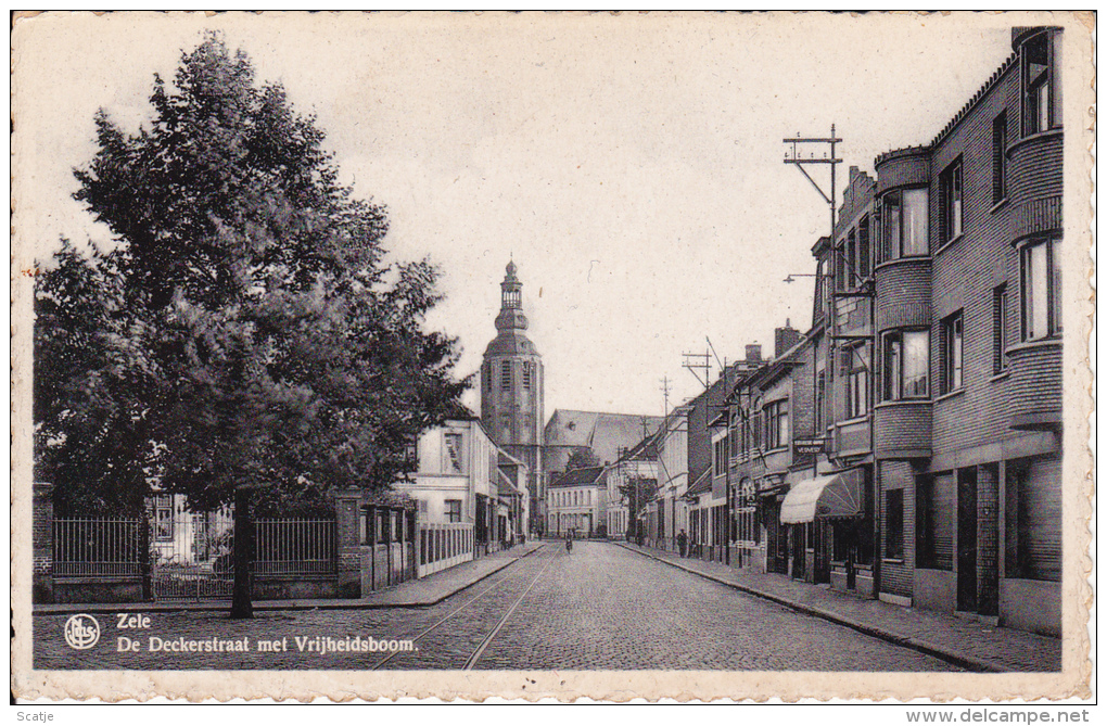 Zele.  - De Deckerstraat Met Vrijheidsboom - Zele