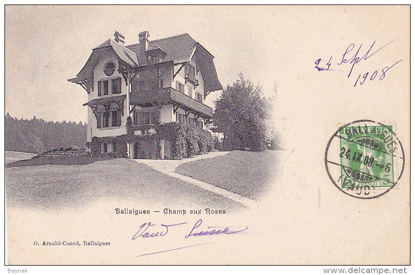 VD22  --  BALLAIGUES  -- CHAMP AUX ROSES  --   1908 - Ballaigues
