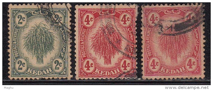 Kedah Used 1919, 3v Sheaf Of Rice,  Wmk Multi Crown CA, Malaya, Malaysia - Kedah