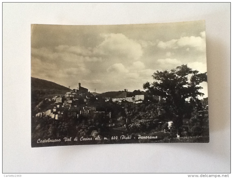 CASTELNUOVO VAL DI CECINA PANORAMA VIAGGIATA DEL 1955 - Pisa