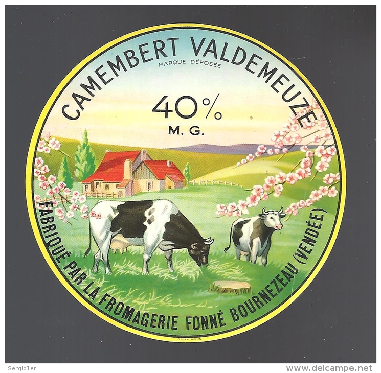 Etiquette Fromage Camembert  Val De Meuze Fromagerie Fonnée Vendée - Fromage