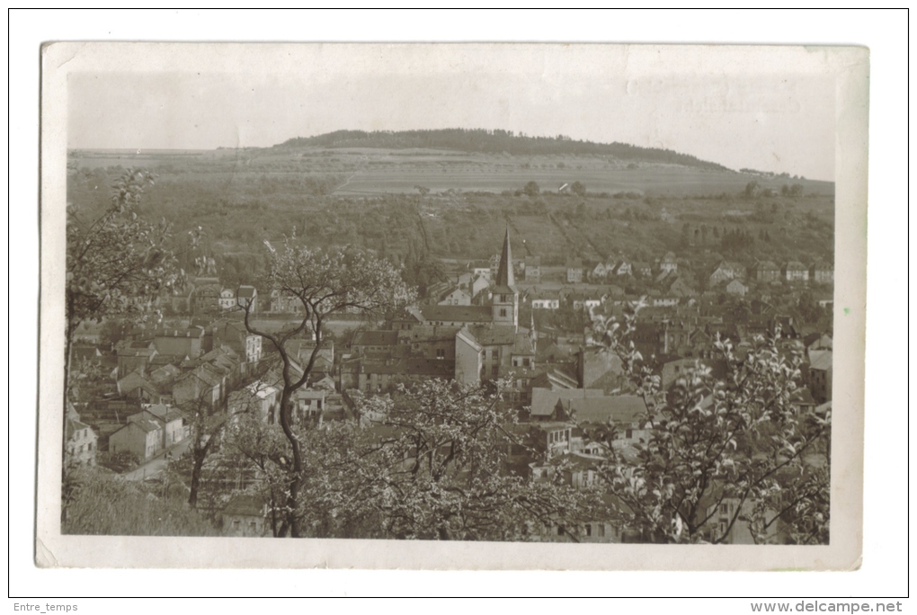 Merzig Gesamtansicht - Kreis Merzig-Wadern