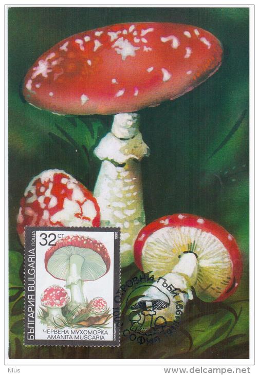 Bulgaria 1991 Mushroom Mushrooms Fungus Flora Maximum Card - Hongos