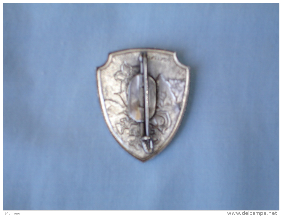 Ancien Insigne Broche C.A.F., Club Alpin Français De Marque Augis à Lyon, Ski (13-2456) - Winter Sports