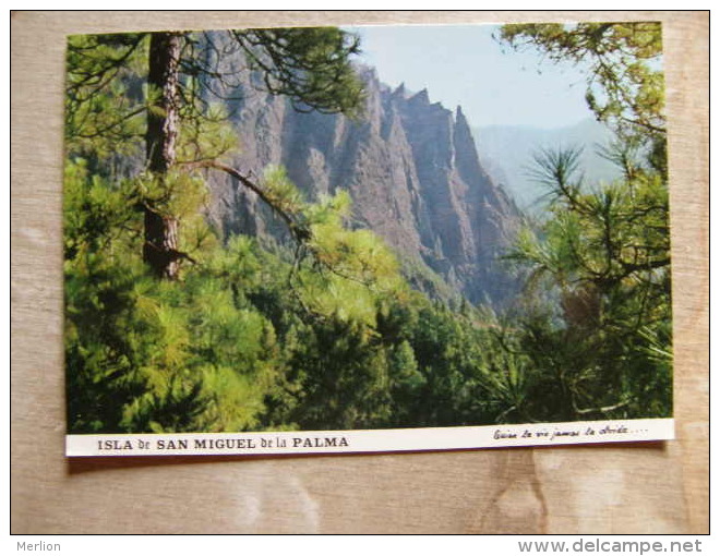 Espana Islas Canarias -Isla De San Miguel De  La Palma     D107183 - La Palma