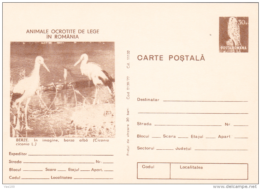 STORK, POSTCARD STATIONERY, UNUSED,1977,ROMANIA - Storks & Long-legged Wading Birds