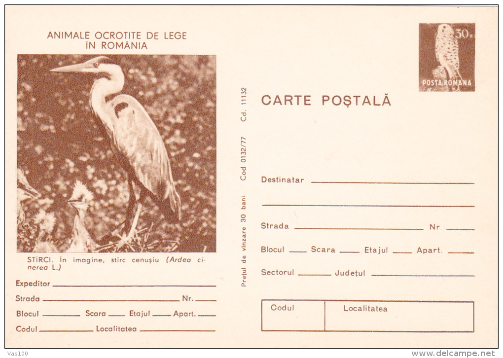 STORK, POSTCARD STATIONERY, UNUSED,1977,ROMANIA - Storchenvögel