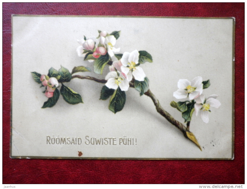 Pentecost Greeting Card - Apple Tree Branch - Cup Of Tea - Circulated In 1914 - Estonia - Tsarist Russia - Used - Pinksteren