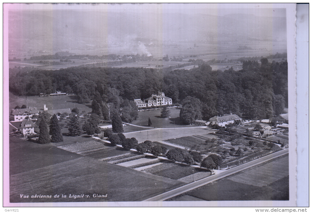 CH 1196 GLAND, Vue Airienne De La Lignierie, 1954 - Gland