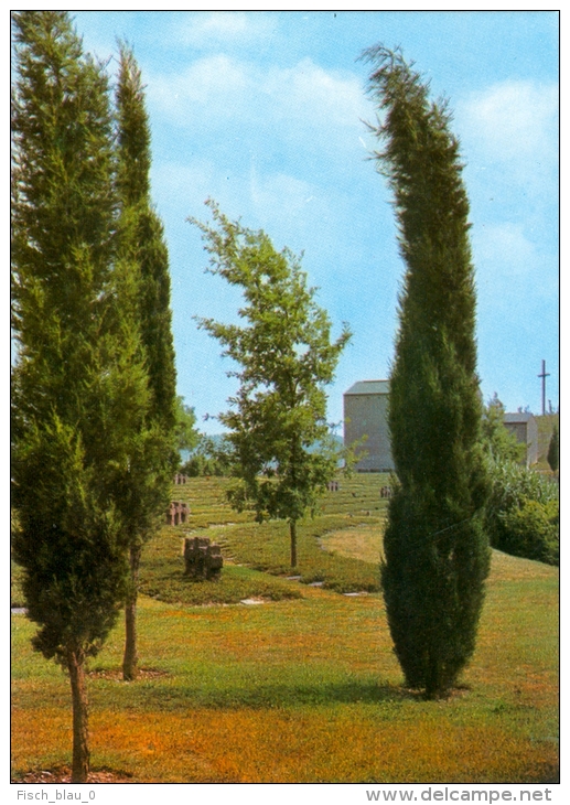 1) AK Deutscher Soldatenfriedhof Costermano Italien Friedhof Deutschland Militär Military Soldiers Soldaten - War Cemeteries
