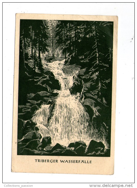 Cp ,  ALLEMAGNE , TRIBERG , TRIBERGER WASSERFALLE , Numérotée , N° 60312 , écrite , 2 Scans - Triberg