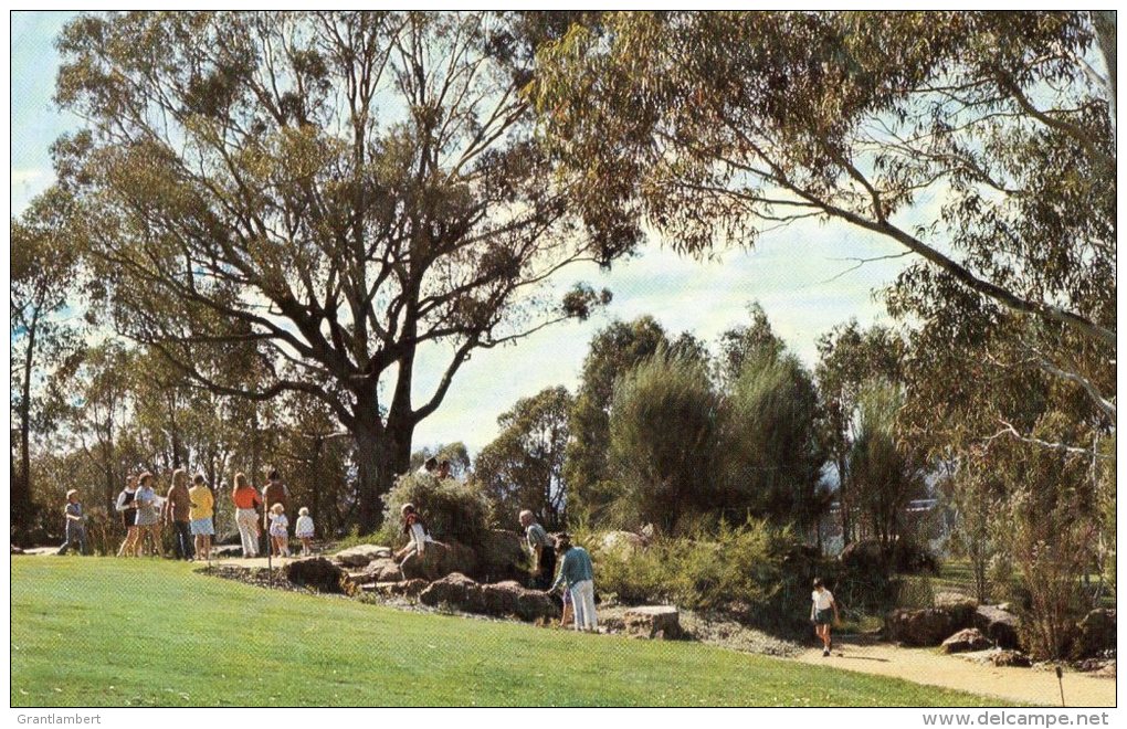 Canberra Botanic Gardens, ACT - Posted 1972 - Canberra (ACT)