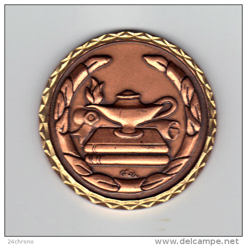 Belle Medaille: Prix Litteraire, Chritian Vidal, 1998, Lampe D´ Aladin, Livres, Graveur Cebrier ? (13-2460) - Professionnels / De Société