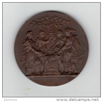 Belle Medaille: Chambre Syndicale Des Banques Populaires De France, XXè Anniversaire 1929-1949, Graveur F. Depaulis - Professionals / Firms