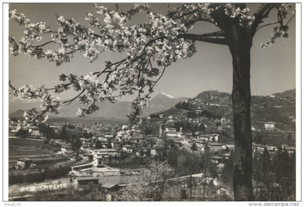 TARCENTO -  Panorama - Udine