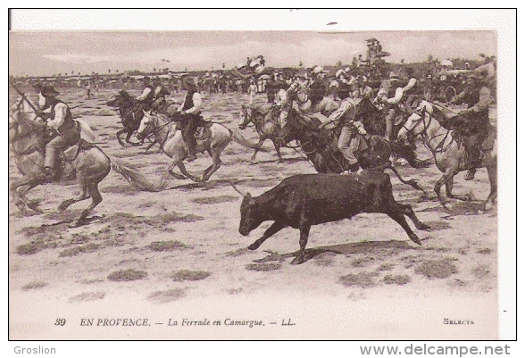 EN PROVENCE 39 LA FERRADE EN CAMARGUE - Sonstige & Ohne Zuordnung