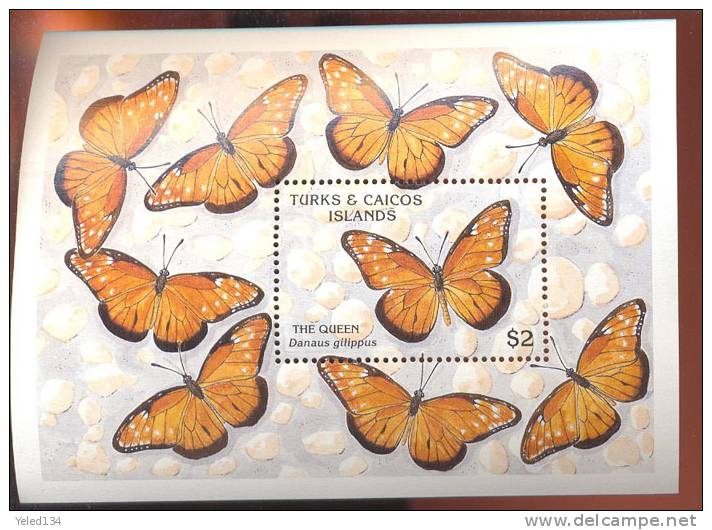 TURKS & CAICOS  ISLANDS  835  MINT NEVER HINGED SOUVENIR SHEET OF BUTTERFLIES - Schmetterlinge