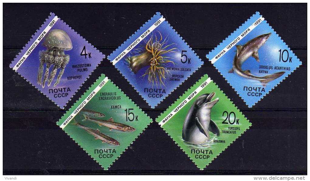 USSR - 1991 - Marine Animals - MNH - Neufs