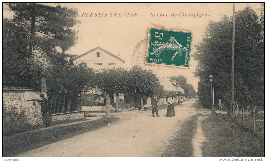 ( CPA 94 )  PLESSIS-TRÉVISE  /  Avenue De Champigny  - - Le Plessis Trevise