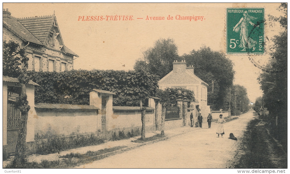 ( CPA 94 )  PLESSIS-TRÉVISE  /  Avenue De Champigny  - - Le Plessis Trevise