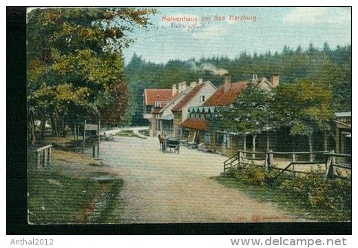 Molkenhaus B. Bad Harzburg Pferdegespann Kutsche 28.6.1911 Gehöft - Bad Harzburg