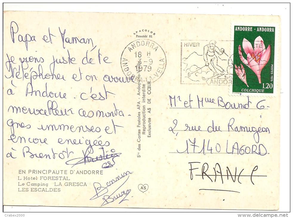 N° Y&T 247 ANDORRE  Vers  FRANCE Le  03 SEPTEMBRE1979( 2scans) - Lettres & Documents