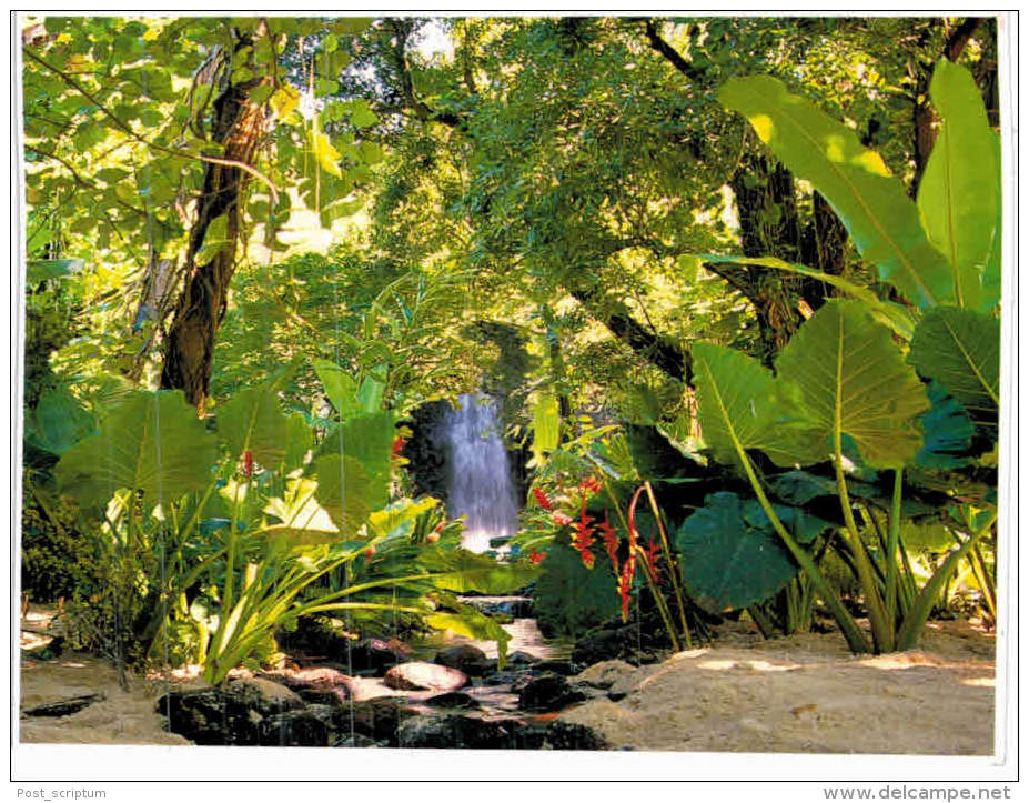 Océanie - Tahiti - Belle Cascade - Tahiti