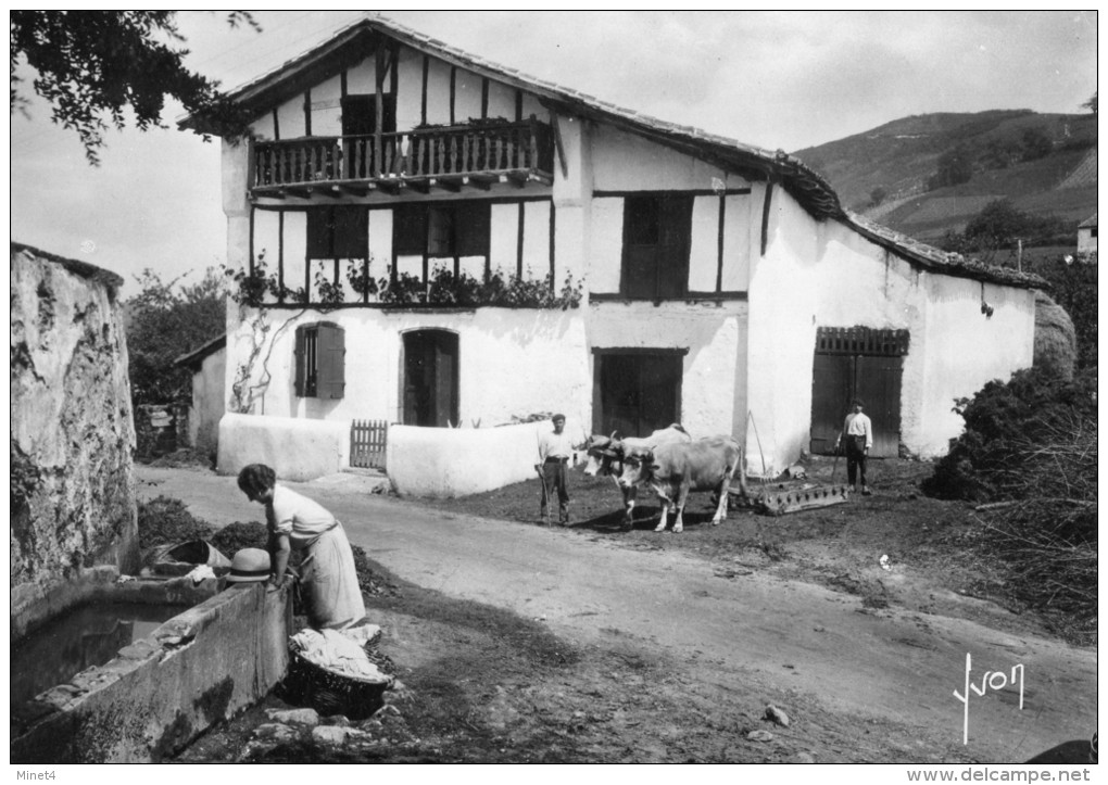 64 PAYS BASQUE  TYPE DE FERME BASQUE  PAYSANS  ATTELAGE DE BOEUFS LAVEUSES - Other & Unclassified