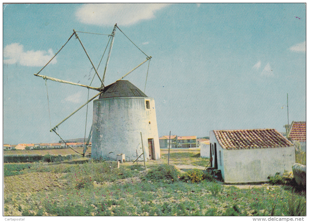 PENICHE MOINHO MILL MOULIN CIRCULATED   2 SCANS - Leiria