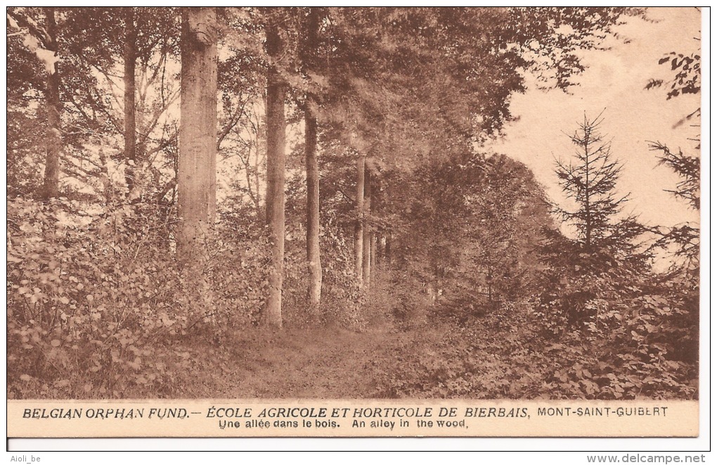 Belgian Orphan Fund. Ecole Agricole Et Horticole De Bierbais. Mont-Saint-Guibert. " Une Allée Dans Le Bois" - Mont-Saint-Guibert