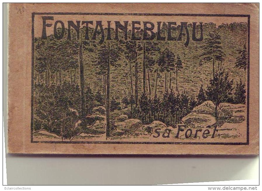 Fontainebleau  77    Carnet De 20 Vues       (SVP Lire Annotation) - Fontainebleau