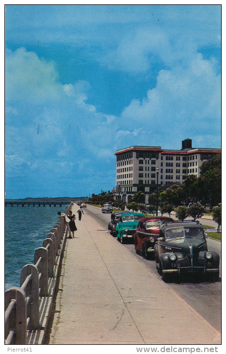 U.S.A. - CHARLESTON - Murray Boulevard Or Low Battery (1956) - Charleston
