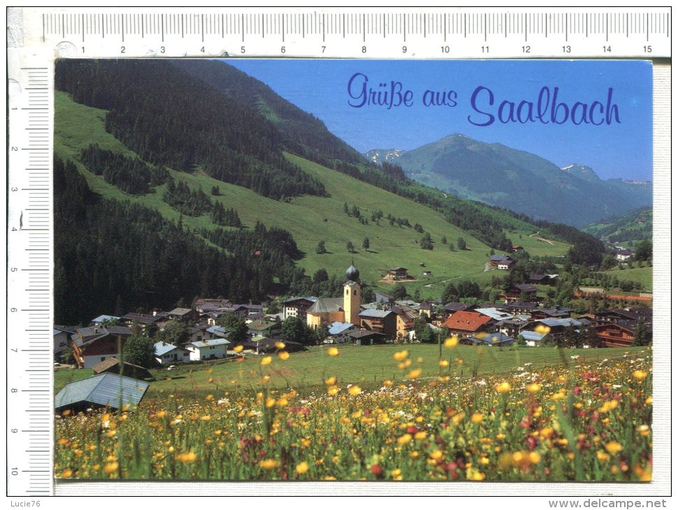 GRUSSE  Aus   SAALBACH - Saalbach