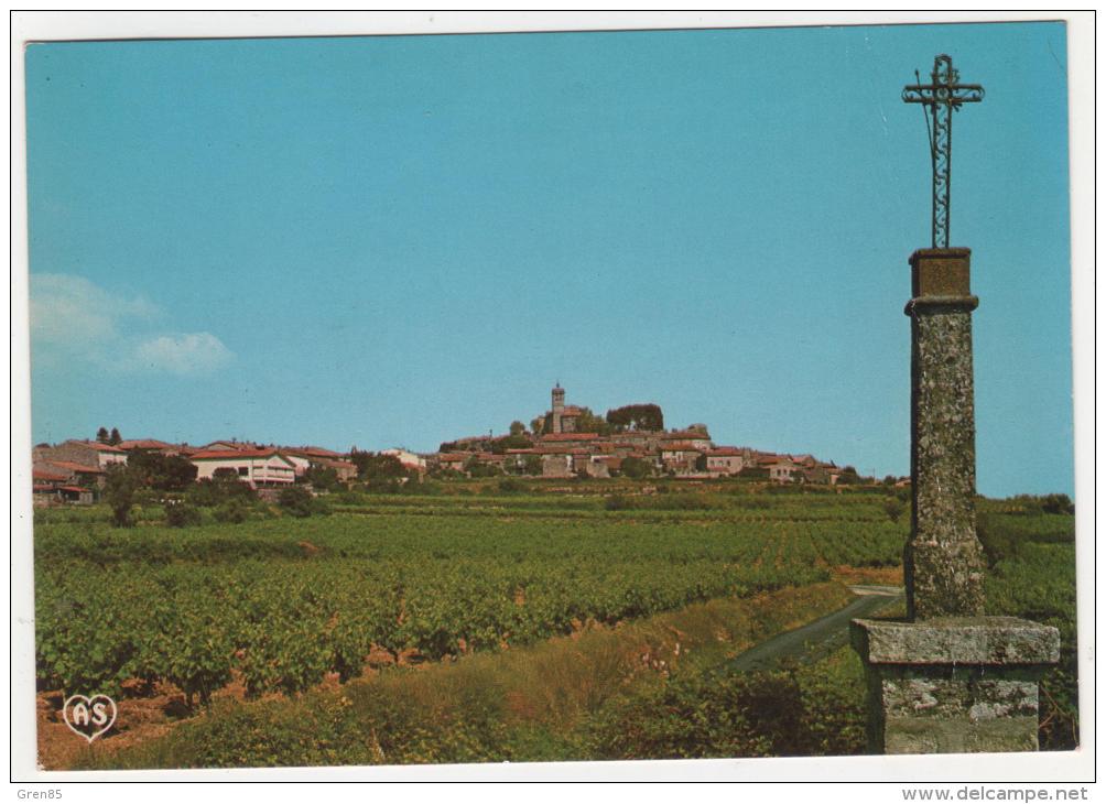 CP ST SAINT PONS DE MAUCHIENS, VUE GENERALE, HERAULT 34 - Saint-Pons-de-Thomières