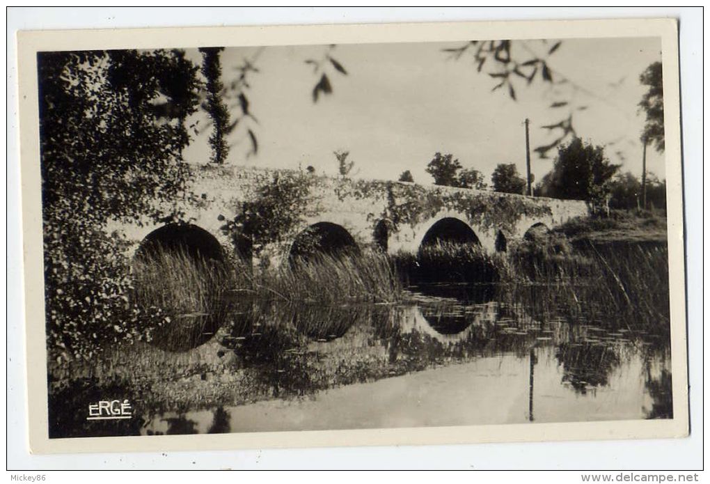 GOURGE--près Thénezay--Vieux Pont Romain , Cpsm 9 X 14 N° 10 éd R.Grassignoux - Thenezay