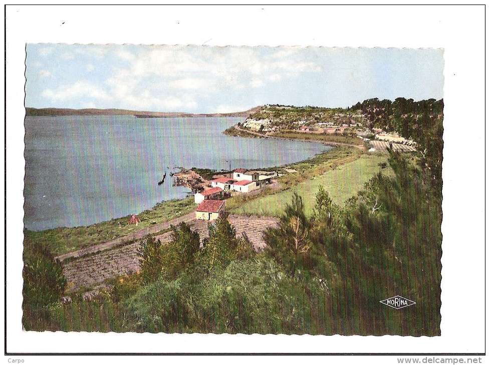 SIGEAN. - Corniche Et Anse De L'Olivier. - Sigean