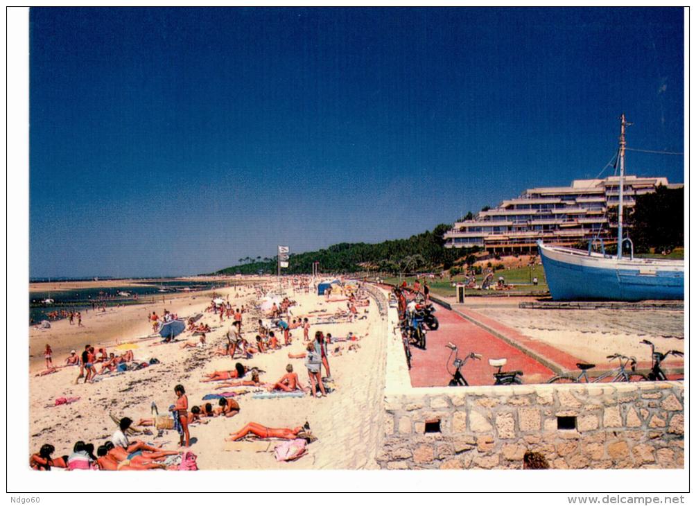 Baie D'Arcachon - La Plage,le Parc Perère - Autres & Non Classés