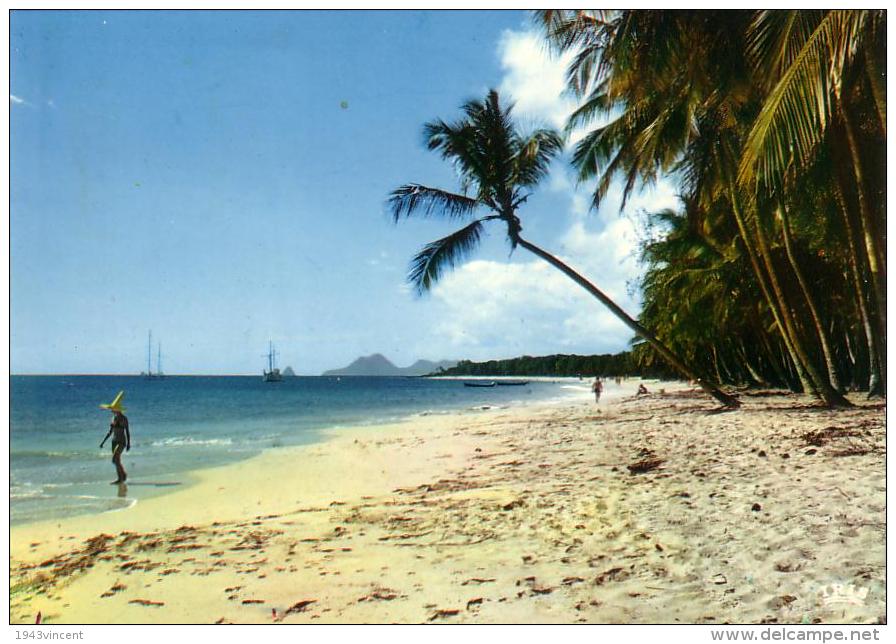 C  8399 - MARTINIQUE - Plage Des Salines - Rare - - Autres & Non Classés