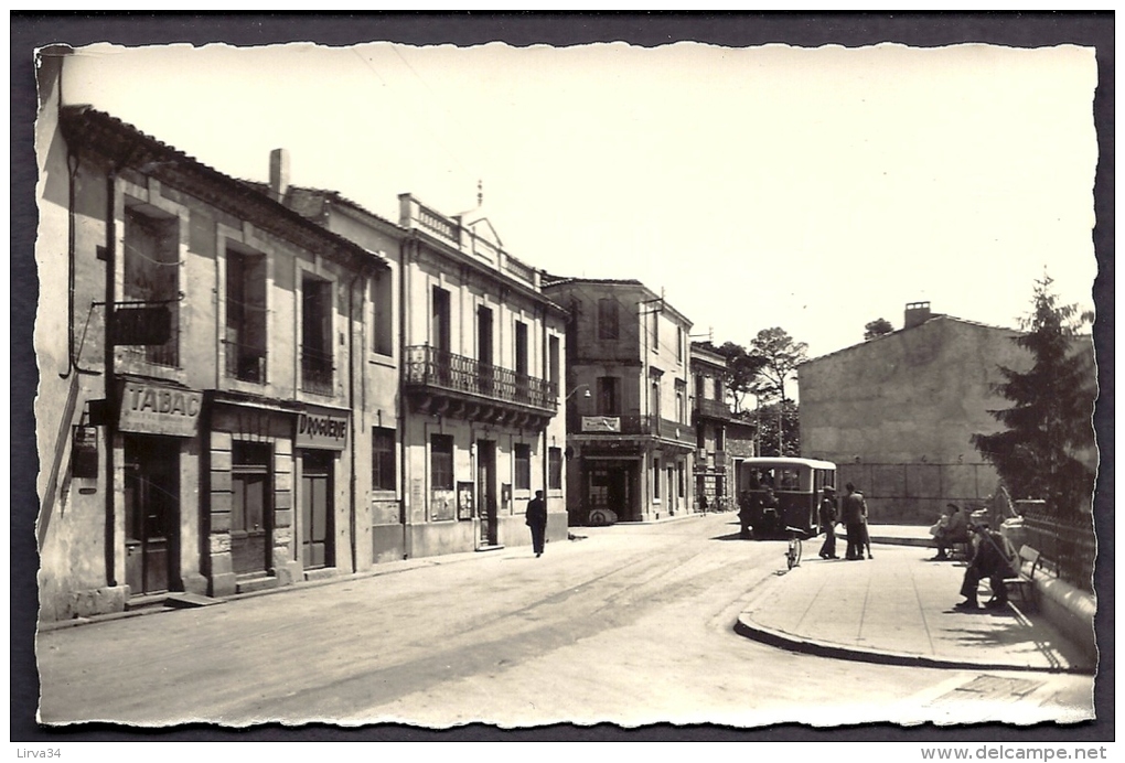 CPSM-PHOTO- FRANCE-  CASTELNAU-LE-LEZ (34)- PLACE DE LA LIBERTÉ EN GROS PLAN- L'AUTOBUS A L'ARRET- ANIMATION- COMMERCES - Castelnau Le Lez