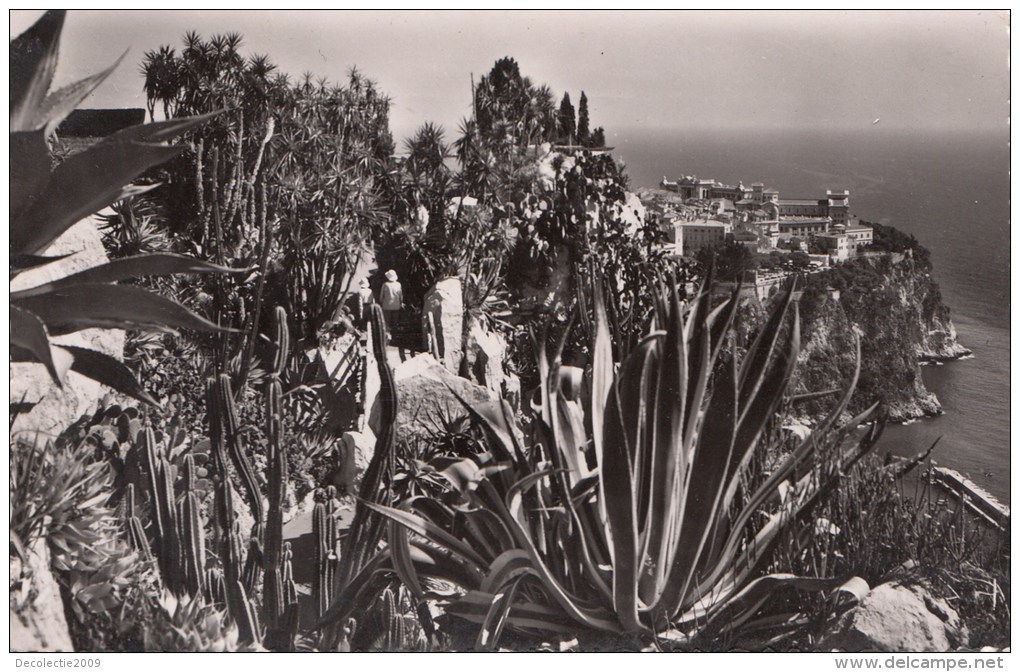N9789 Monaco Le Rocher Vu Des Jardins Exotiques   2 Scans - Multi-vues, Vues Panoramiques