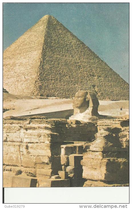 EGYPT  - POSTCARD - GIZA PYRAMIDS & SPHINX - NEW UNUSED FORMAT 14 X 9,5 CMS PERFECT CONDITIONS - Gizeh