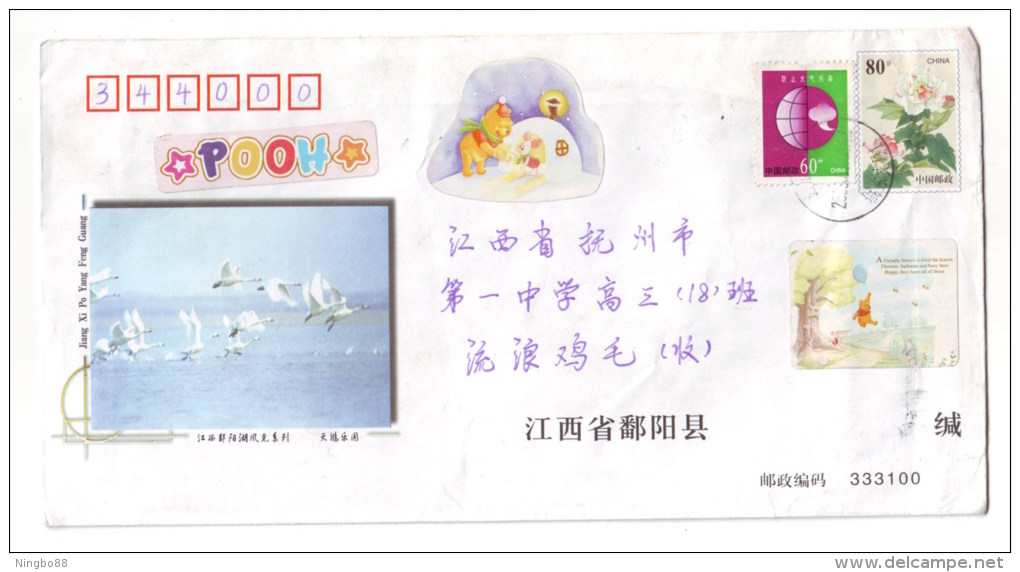 Swan Bird Paradise,China 2005 Poyanghu Lake Landscape Series Advertising Postal Stationery Envelope - Swans