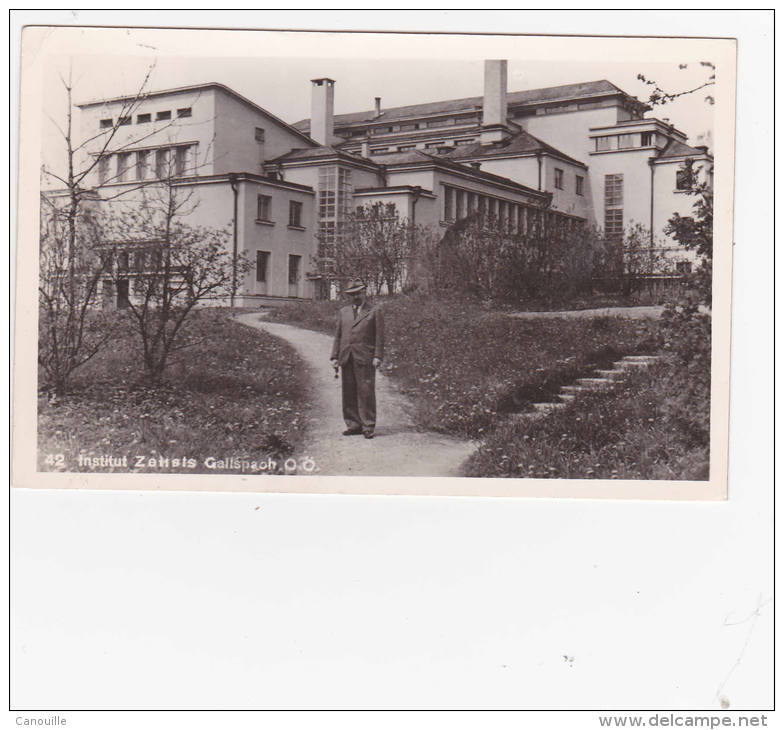 Gallspach - Institut Zeileis 1952 - Gallspach