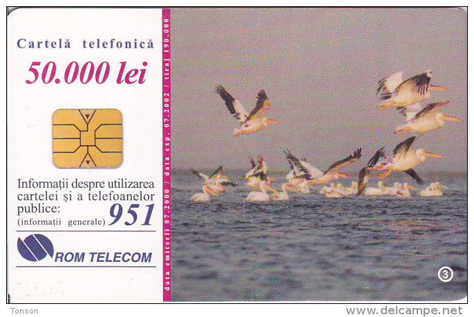 Romania, ROM-065,  The Danube´s Delta 3, Birds, Fishingboat, 2 Scans. - Roemenië