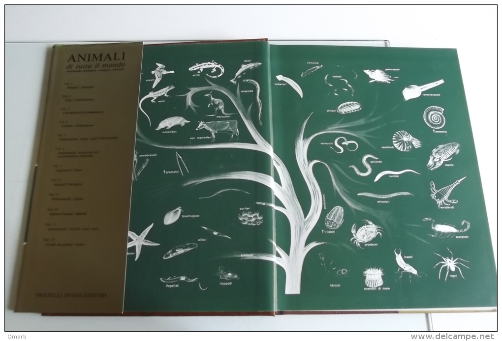 Lib201 Enciclopedia Sistematica Ecologica Etologica, Animali Di Tutto Il Mondo, Pesci, Anfibi, Mammiferi, Uccelli, 1977 - Encyclopédies