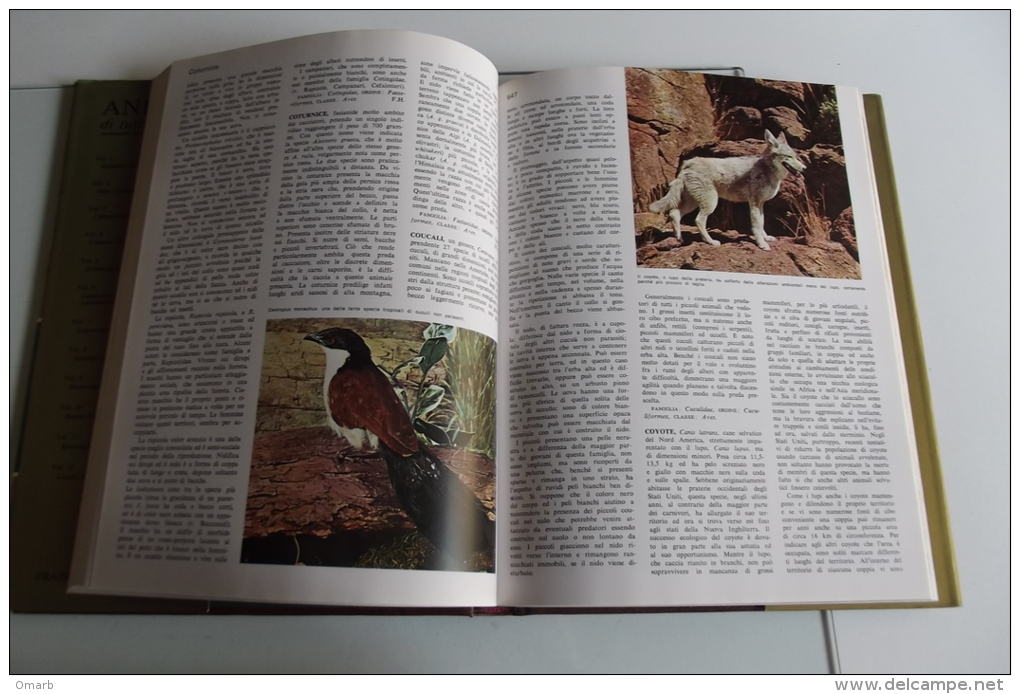 Lib201 Enciclopedia Sistematica Ecologica Etologica, Animali Di Tutto Il Mondo, Pesci, Anfibi, Mammiferi, Uccelli, 1977 - Enciclopedias