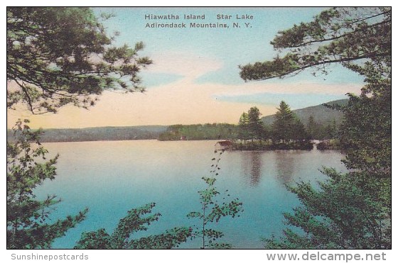 New York Adirondack Mountains Hiawatha Island Star Lake Albertype - Adirondack